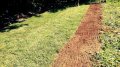 Trawnik z rolki 