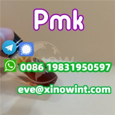 New PMK OIL CAS 28578-16-7 factory