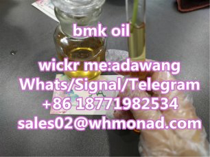 bmk oil cas 459-03-0 to netherland safety line 