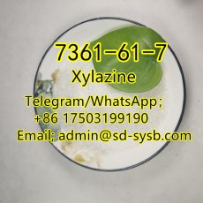  67 A  7361-61-7 Xylazine