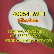  78 A  40054-69-1 Etizolam