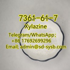  99 CAS:7361-61-7 Xylazine