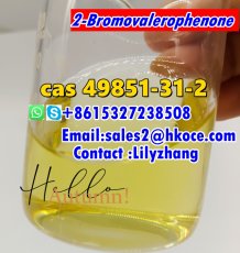 Low MOQ New 2-Bromovalerophenone CAS.49581-31-2 China factory 