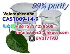 Valerophenone CAS 1009-14-9 with 99% Purity to Russia