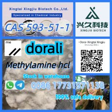 Fast and Safe Shipping Methylamine hcl CAS 593-51-1 MMA powder