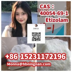 excellent quality Etizolam CAS 40054-69-1