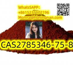 excellent quality Etizolam CAS 2785346-75-8 