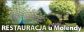 Restauracja U MOLENDY