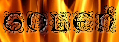 FIRMA USŁUGOWO-HANDLOWA "GOLEŃ" GOLEWSKI TOMASZ