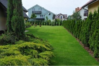 Zakładanie ogrodów