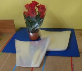 Doniczki foliowe – torby szkółkarskie