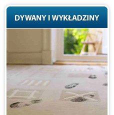 PRANIE DYWANÓW I WYKŁADZIN