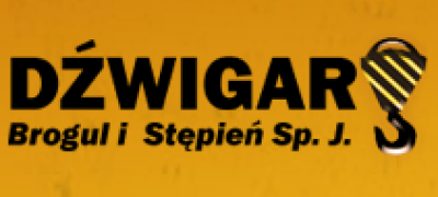 Naprawy, serwis, konserwacje urządzeń dźwignicowych i suwnic