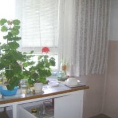 KAWALERKA NA ULICY TAŃSKIEGO