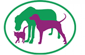 Animals Centrum Gabinet Weterynaryjny Katowice