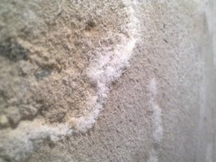 Osuszanie, antykorozja betonu, izolacje