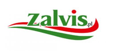 Zalvis