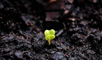 Czarnoziem, kruszywa