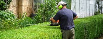 Pielęgnacja zieleni