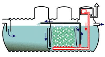 BIOLOGICZNE OCZYSZCZALNIE ŚCIEKÓW