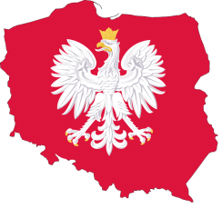 Przeprowadzki krajowe