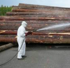 Dezynsekcja Bełchatów