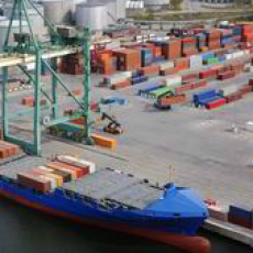 Fumigacja eksportowa Bełchatów