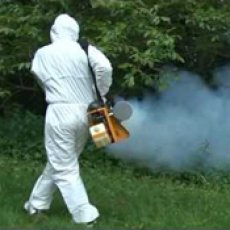 Zamgławianie termiczne