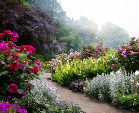 Projektowanie ogrodów Łódź