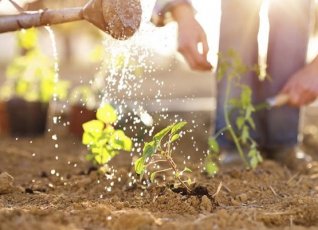 Zakładanie ogrodów Łódź