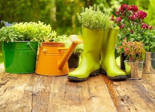 Aranżacja ogrodów Łódź