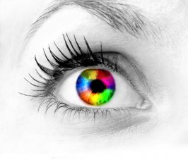 Reklama wizualna, szyldy, witryny