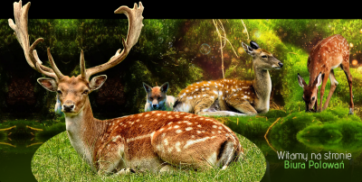 Polowania indywidualne i zbiorowe