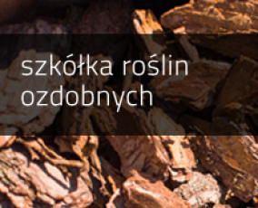 Szkółka roślin ozdobnych