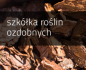 Szkółka roślin ozdobnych