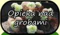 Opieka nad grobami