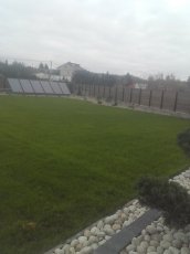 Projektowanie Ogrodów