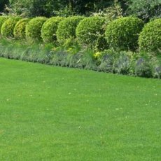 PIELĘGNACJA TERENÓW ZIELONYCH