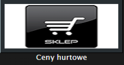 Sklep systemy zabezpieczeń KWINTO