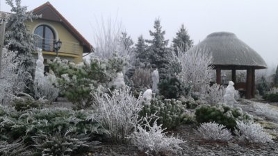 Pielęgnacje ogrodów