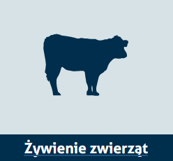 Żywienie zwierząt
