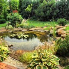 FOLIA DO OCZEK WODNYCH