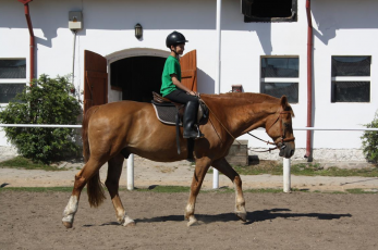 Nauka jazdy konnej