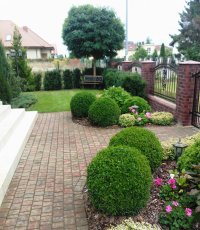 Rośliny Jednoroczne: Kwiaty / Byliny / Nasiona / Pnącza