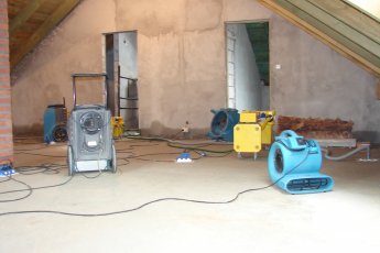 Profesjonalne Osuszanie i odgrzybianie budynków