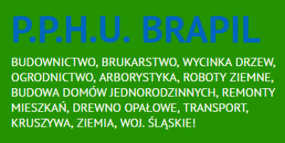 P.P.H.U. BRAPIL ADAM PILAWSKI