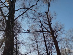 Pielęgnacja Zieleni