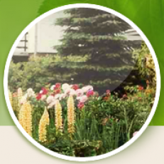 ZAKŁADANIE TERENÓW ZIELENI