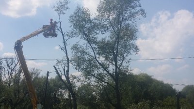 Zagospodarowanie zieleni i usługi porządkowe