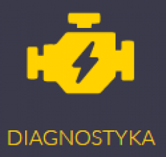 DIAGNOSTYKA